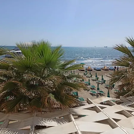Sea View-palm Trees *