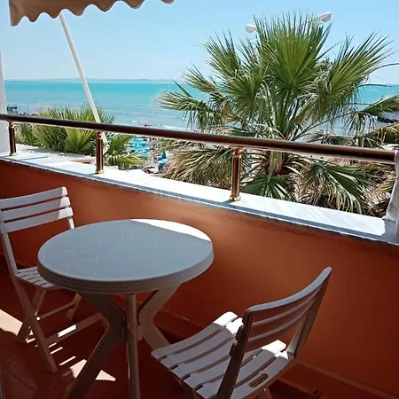 Sea View-palm Trees