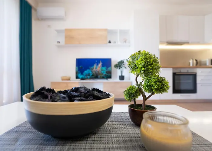 Sea View-palm Trees *